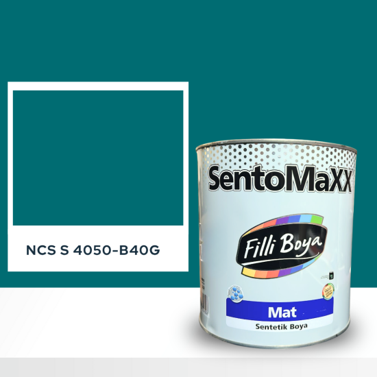 Filli Boya Sentomaxx Boya NCS S 4050-B40G