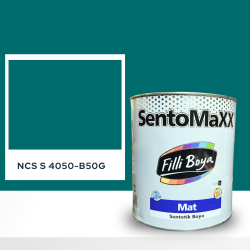 Filli Boya Sentomaxx Boya NCS S 4050-B50G