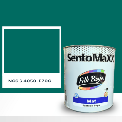 Filli Boya Sentomaxx Boya NCS S 4050-B70G