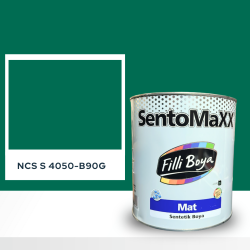 Filli Boya Sentomaxx Boya NCS S 4050-B90G