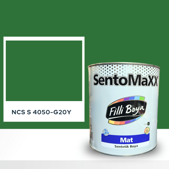 Filli Boya Sentomaxx Boya NCS S 4050-G20Y