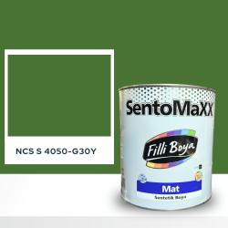 Filli Boya Sentomaxx Boya NCS S 4050-G30Y