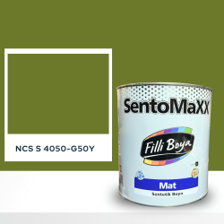 Filli Boya Sentomaxx Boya NCS S 4050-G50Y