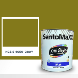Filli Boya Sentomaxx Boya NCS S 4050-G80Y