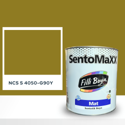Filli Boya Sentomaxx Boya NCS S 4050-G90Y