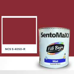 Filli Boya Sentomaxx Boya NCS S 4050-R