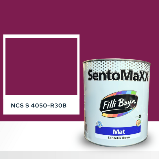 Filli Boya Sentomaxx Boya NCS S 4050-R30B