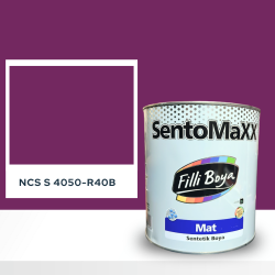 Filli Boya Sentomaxx Boya NCS S 4050-R40B