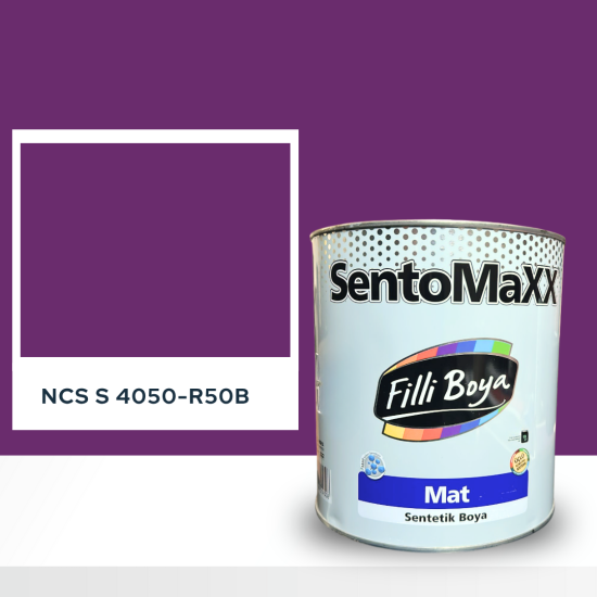 Filli Boya Sentomaxx Boya NCS S 4050-R50B Filli Boya Sentomaxx Boya NCS S 4050-R50B