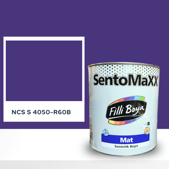 Filli Boya Sentomaxx Boya NCS S 4050-R60B