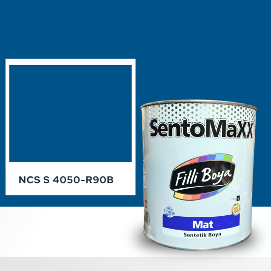 Filli Boya Sentomaxx Boya NCS S 4050-R90B