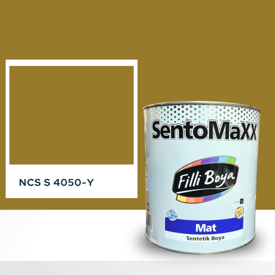 Filli Boya Sentomaxx Boya NCS S 4050-Y