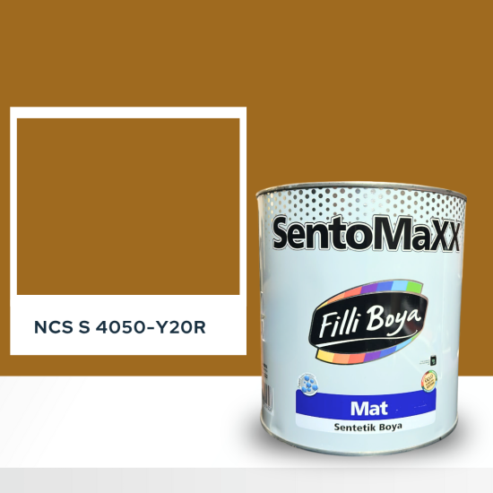 Filli Boya Sentomaxx Boya NCS S 4050-Y20R