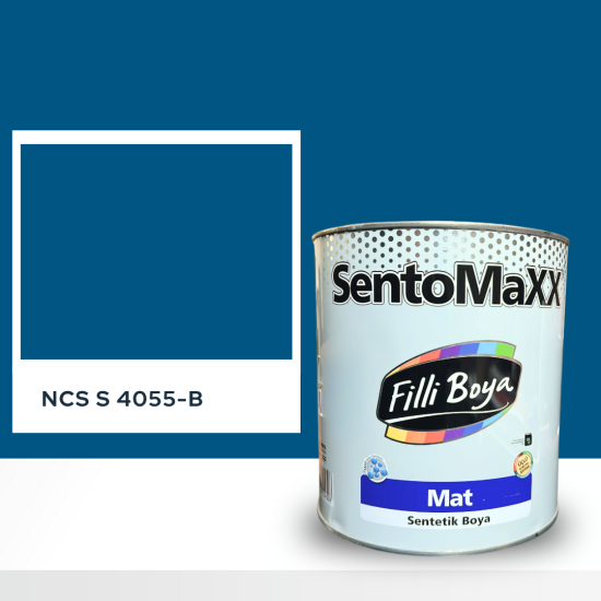 Filli Boya Sentomaxx Boya NCS S 4055-B