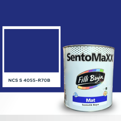 Filli Boya Sentomaxx Boya NCS S 4055-R70B