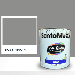 Filli Boya Sentomaxx Boya NCS S 4500-N