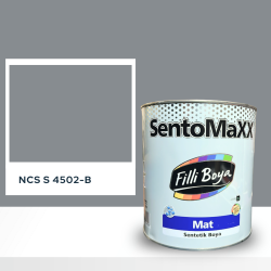 Filli Boya Sentomaxx Boya NCS S 4502-B