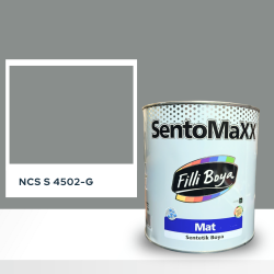 Filli Boya Sentomaxx Boya NCS S 4502-G