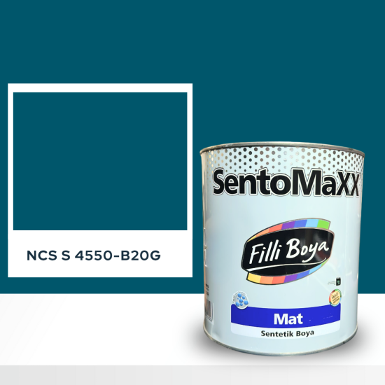 Filli Boya Sentomaxx Boya NCS S 4550-B20G