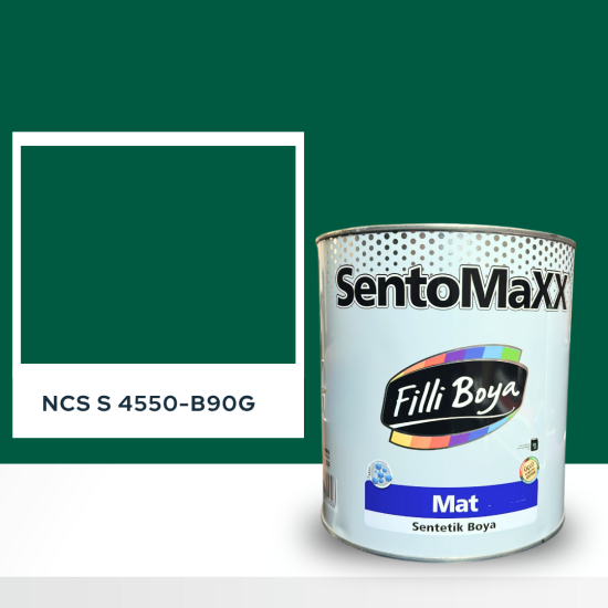Filli Boya Sentomaxx Boya NCS S 4550-B90G