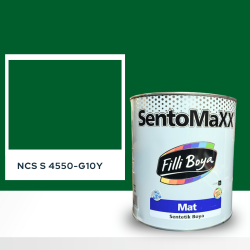 Filli Boya Sentomaxx Boya NCS S 4550-G10Y