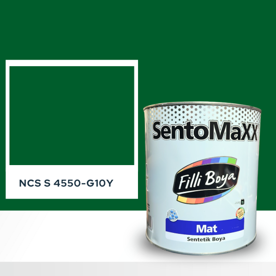 Filli Boya Sentomaxx Boya NCS S 4550-G10Y
