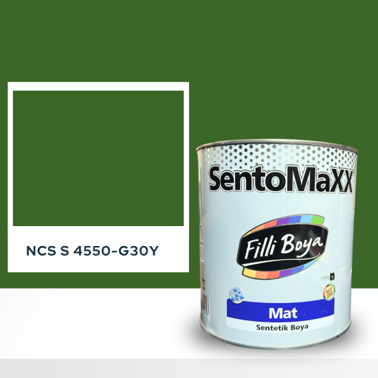 Filli Boya Sentomaxx Boya NCS S 4550-G30Y