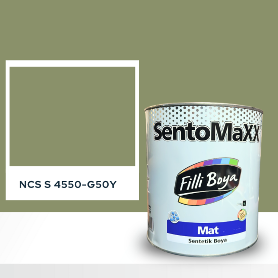 Filli Boya Sentomaxx Boya NCS S 4550-G50Y