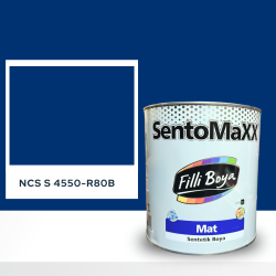 Filli Boya Sentomaxx Boya NCS S 4550-R80B
