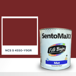 Filli Boya Sentomaxx Boya NCS S 4550-Y90R