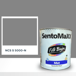 Filli Boya Sentomaxx Boya NCS S 5000-N