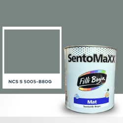 Filli Boya Sentomaxx Boya NCS S 5005-B80G