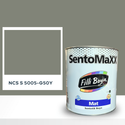 Filli Boya Sentomaxx Boya NCS S 5005-G50Y
