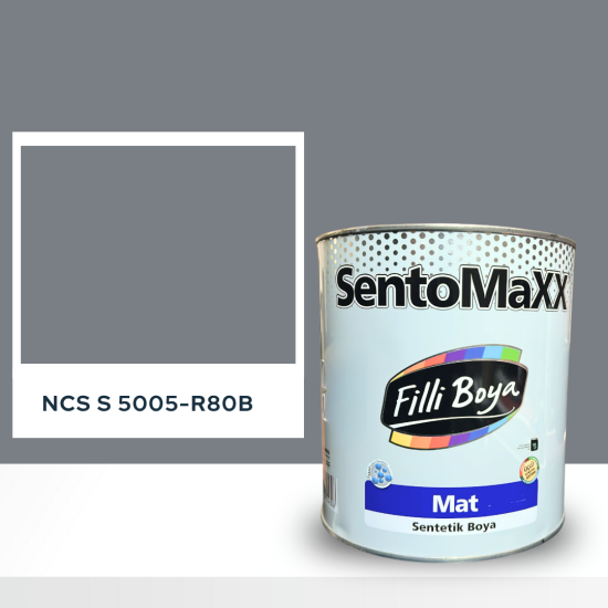 Filli Boya Sentomaxx Boya NCS S 5005-R80B