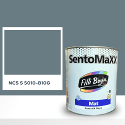 Filli Boya Sentomaxx Boya NCS S 5010-B10G