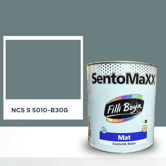Filli Boya Sentomaxx Boya NCS S 5010-B30G