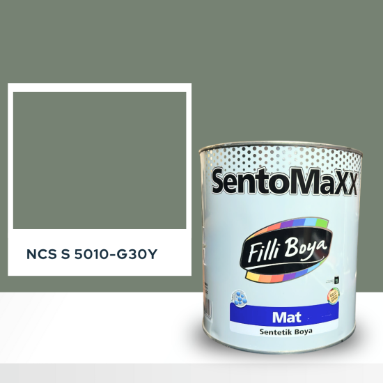 Filli Boya Sentomaxx Boya NCS S 5010-G30Y