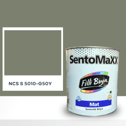 Filli Boya Sentomaxx Boya NCS S 5010-G50Y