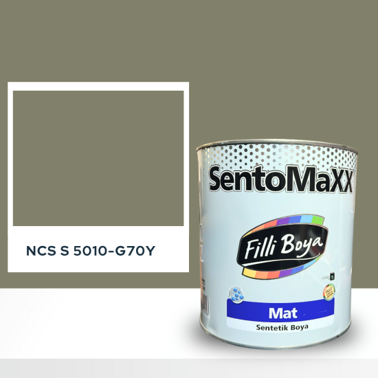 Filli Boya Sentomaxx Boya NCS S 5010-G70Y