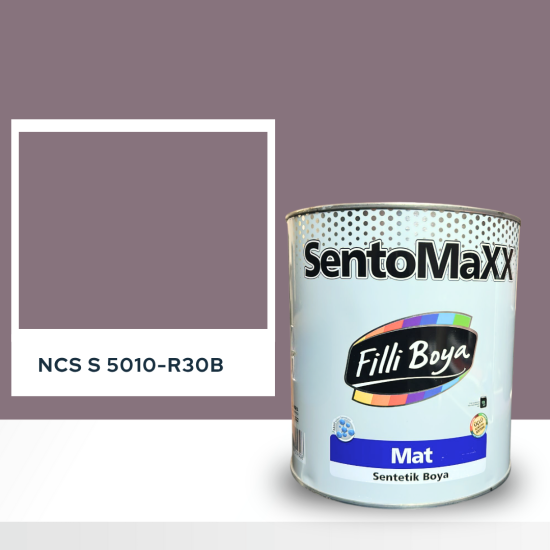Filli Boya Sentomaxx Boya NCS S 5010-R30B