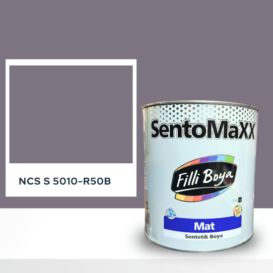 Filli Boya Sentomaxx Boya NCS S 5010-R50B Filli Boya Sentomaxx Boya NCS S 5010-R50B