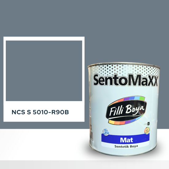 Filli Boya Sentomaxx Boya NCS S 5010-R90B