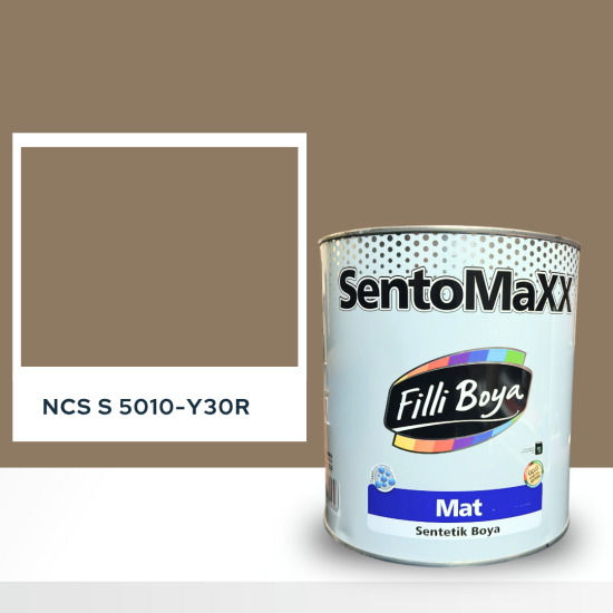 Filli Boya Sentomaxx Boya NCS S 5010-Y30R