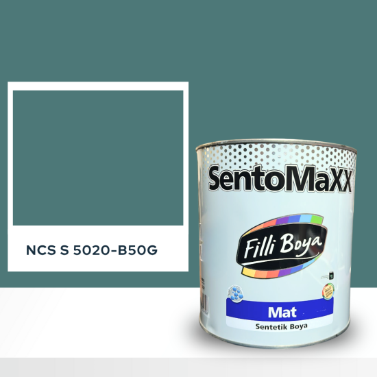 Filli Boya Sentomaxx Boya NCS S 5020-B50G Filli Boya Sentomaxx Boya NCS S 5020-B50G