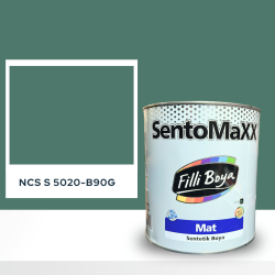Filli Boya Sentomaxx Boya NCS S 5020-B90G