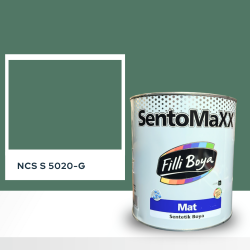 Filli Boya Sentomaxx Boya NCS S 5020-G