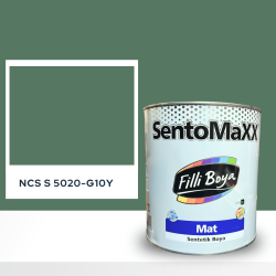 Filli Boya Sentomaxx Boya NCS S 5020-G10Y