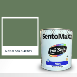 Filli Boya Sentomaxx Boya NCS S 5020-G30Y