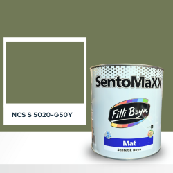 Filli Boya Sentomaxx Boya NCS S 5020-G50Y
