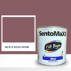Filli Boya Sentomaxx Boya NCS S 5020-R10B